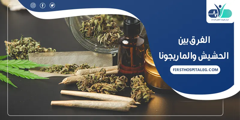 الفرق بين الحشيش والماريجوانا